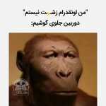 Jkjj