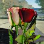Arsalan1122