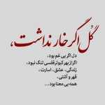 Alireza34