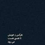 amir646865