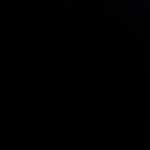 Hgfhbfv