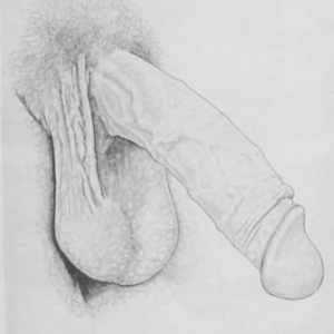 Post 96387