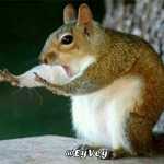 Yasin28zarey