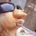 Sexiimahdi