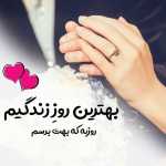 hasib33