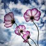 Sadegh7328