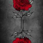 mzmps