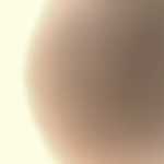 Trans1234