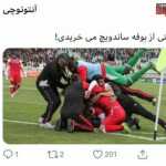Alialiali818181