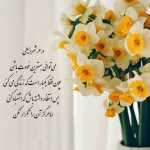 Hamid6472