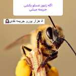 amirkir