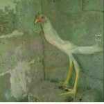 Taha7