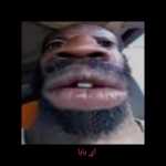 Shervin_dsh