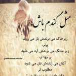 Radazar