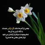 Saaidsss