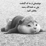 hhosin143