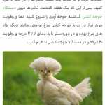 Masoudmm