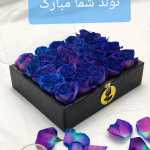 Elyas2130