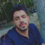 shahinzarei