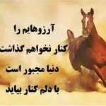 yamac