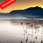 Sandar