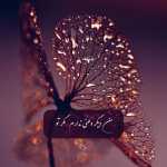 zaher0093