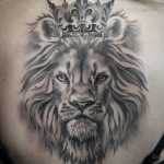 Mohsen22223