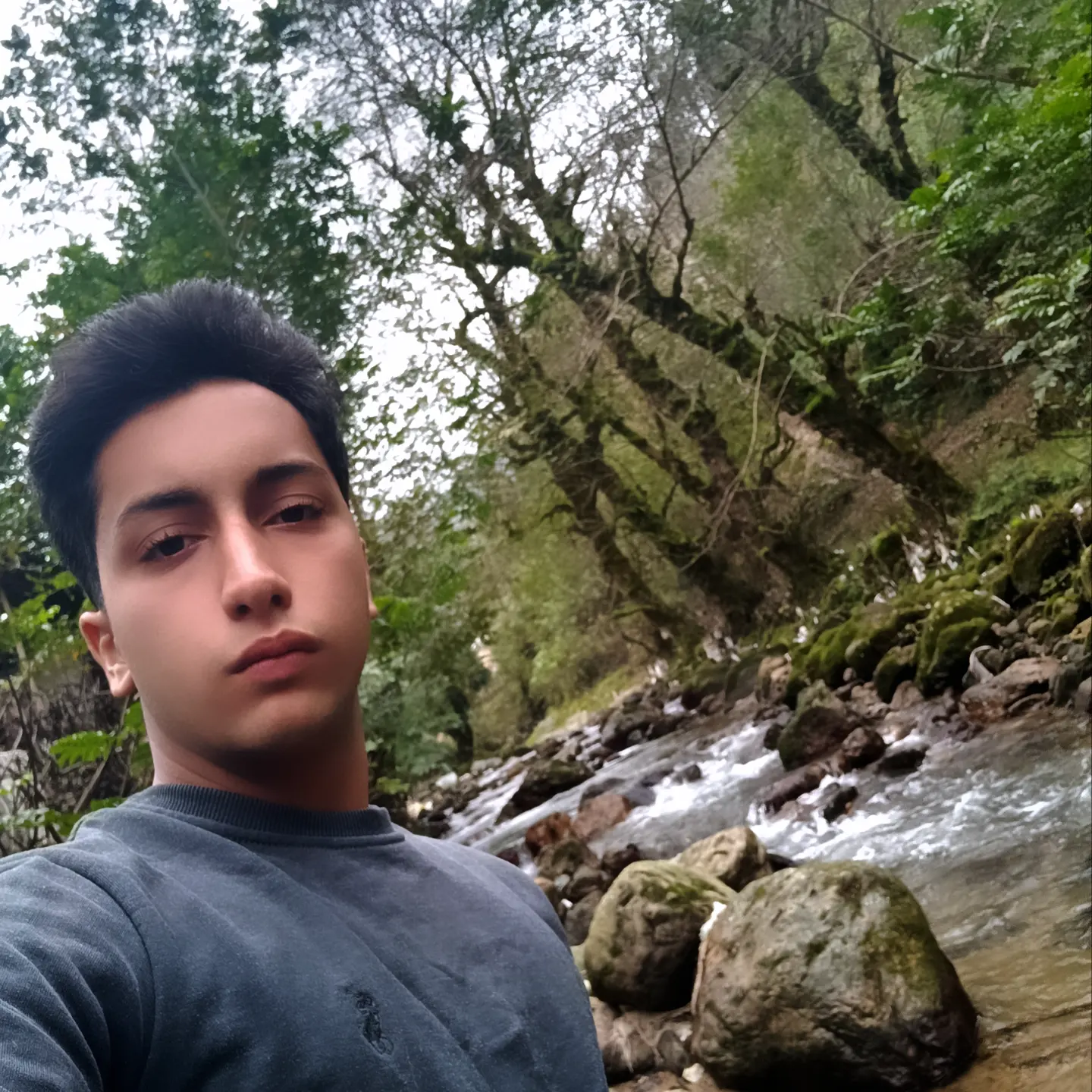 Sajaaaaaaaa