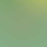 Mohsen6520