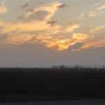Omid_1361