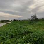 Iliya1993