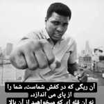 Arman4607