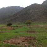 rrrrvahid