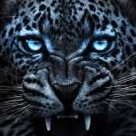 Aazz