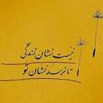 amirdiba