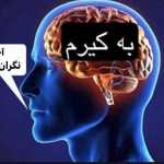 Mamal2023