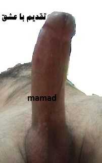 نظر لطفا