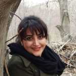 Mohsenrezaei