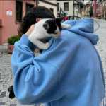 Amorin