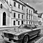 Amirsalmii