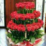 Ebrahim22