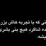 Amir81818181