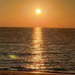 omid580