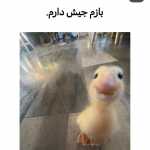 Fyhjk