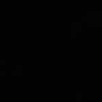 mohamad_orgx