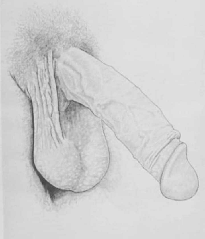 Post 109578 asset 7
