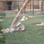Mohammad6893
