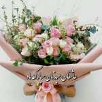 Hesam4292