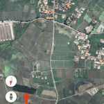 Da15213559