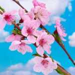 Mahdi343434